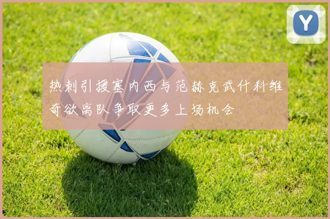 热刺引援塞内西与范赫克武什科维奇欲离队争取更多上场机会